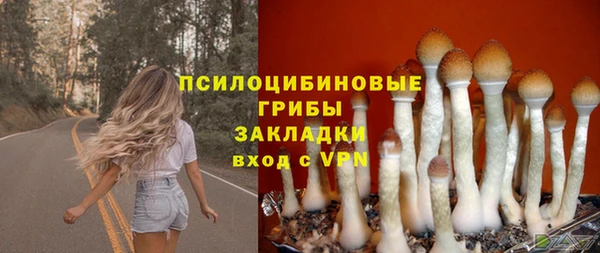 экстази Красноперекопск