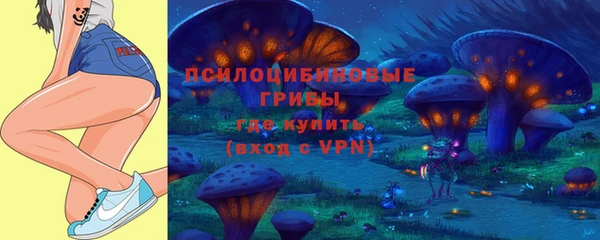 гидропоника Краснослободск