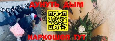 мяу мяу мука Заводоуковск