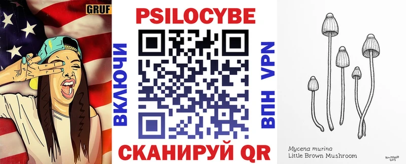 Псилоцибиновые грибы Psilocybine cubensis  Новочеркасск 