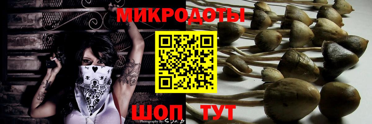 Новочеркасск  Галлюциногенные грибы Psilocybine cubensis  Галлюциногенные грибы GOLDEN TEACHER  Вход с VPN 
