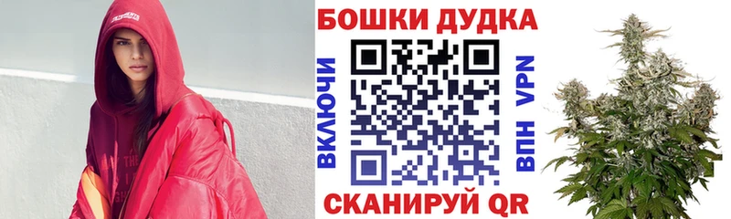 kraken как зайти  Новочеркасск  Бошки марихуана конопля 